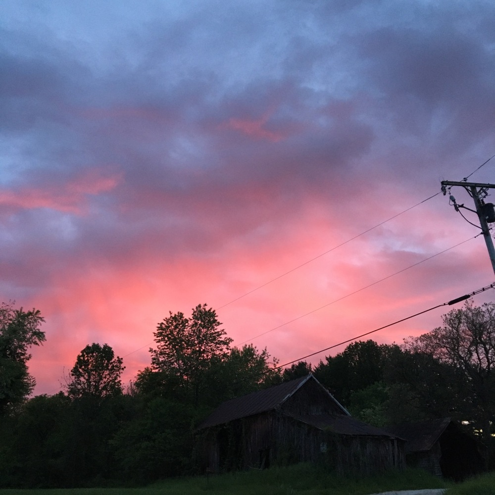 Meet your Posher, Julia